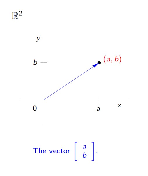 2x1 Vector
