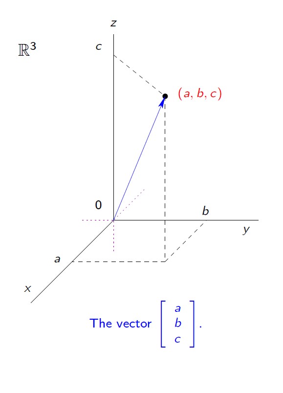 3x1 Vector
